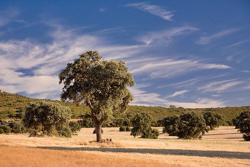 2806043697_094c932a99