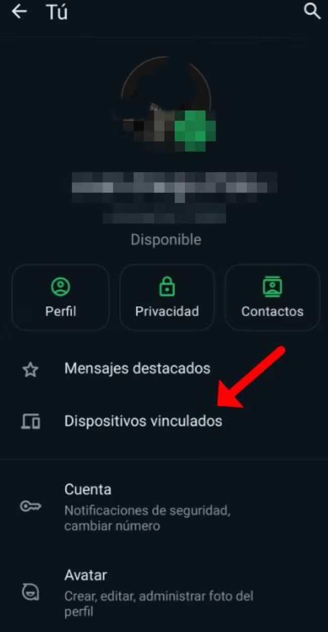 clipboard_1702294755763_editado