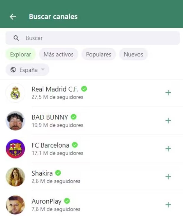clipboard_1702295581974_editado