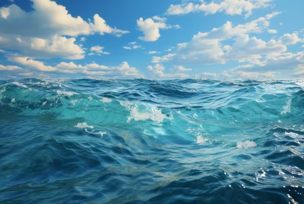 clipboard_1722347427734_editado